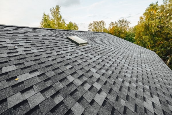 Roof Replacement and Maintenance